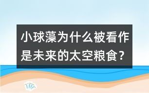 小球藻為什么被看作是未來的太空糧食？