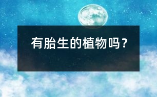有胎生的植物嗎？