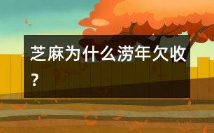 芝麻為什么澇年欠收？