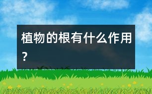 植物的根有什么作用？