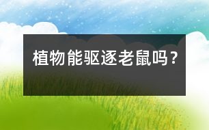 植物能驅(qū)逐老鼠嗎？