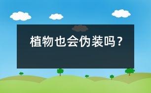 植物也會偽裝嗎？