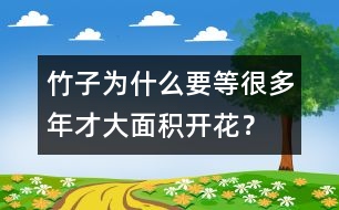 竹子為什么要等很多年才大面積開花？