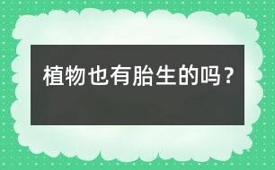 植物也有胎生的嗎？