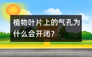 植物葉片上的氣孔為什么會(huì)開(kāi)閉？