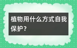 植物用什么方式自我保護(hù)？