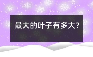 最大的葉子有多大？