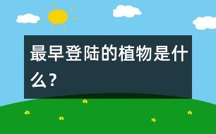 最早登陸的植物是什么？