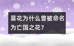 曇花為什么曾被命名為“亡國之花”？