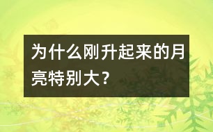 為什么剛升起來(lái)的月亮特別大？
