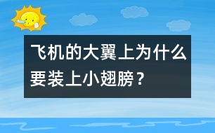 飛機的大翼上為什么要裝上小翅膀？