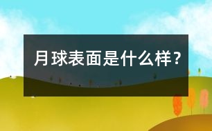 月球表面是什么樣？