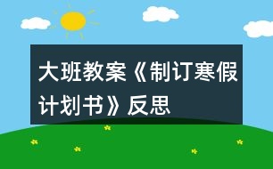 大班教案《制訂寒假計劃書》反思