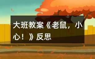 大班教案《老鼠，小心！》反思