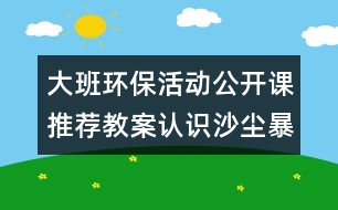 大班環(huán)?；顒?dòng)公開課推薦教案：認(rèn)識(shí)沙塵暴