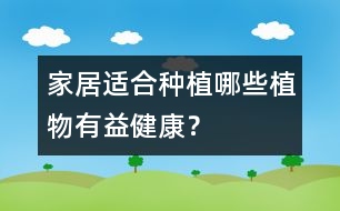 家居適合種植哪些植物有益健康？