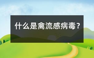 什么是禽流感病毒？