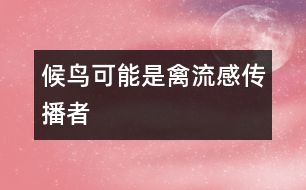 候鳥(niǎo)可能是禽流感傳播者