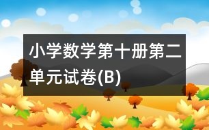 小學數(shù)學第十冊第二單元試卷(B)