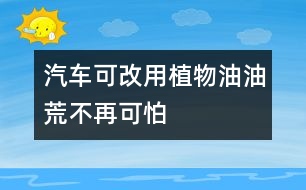 汽車(chē)可改用植物油油荒不再可怕