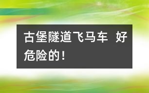 古堡隧道飛馬車  好危險(xiǎn)的！