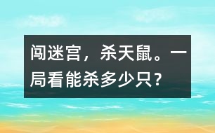 闖迷宮，殺天鼠。一局看能殺多少只？