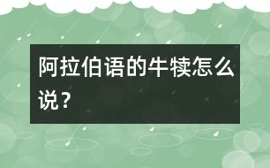 阿拉伯語(yǔ)的牛犢怎么說(shuō)？
