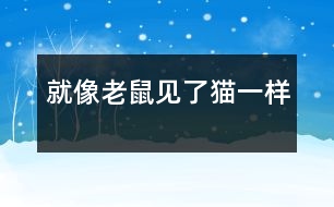 就像老鼠見(jiàn)了貓一樣