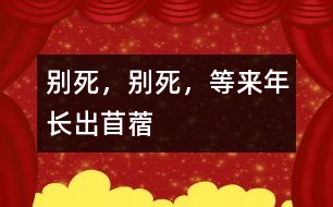 別死，別死，等來(lái)年長(zhǎng)出苜蓿
