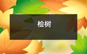 檜樹(shù)