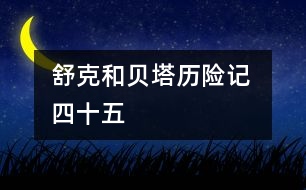 舒克和貝塔歷險記 四十五