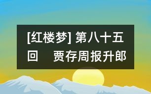 [紅樓夢] 第八十五回    賈存周報升郎中任  薛文起復惹放流刑