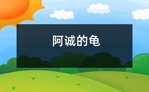 阿誠的龜