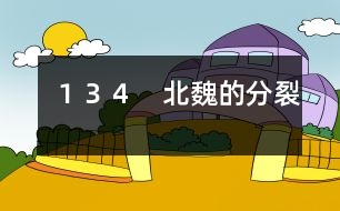 134 北魏的分裂