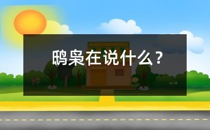 鴟梟在說什么？