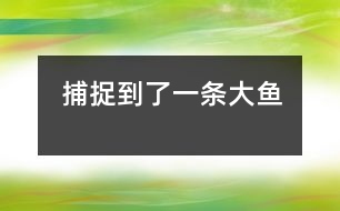 捕捉到了一條大魚(yú)