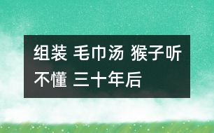組裝 毛巾湯 猴子聽(tīng)不懂 三十年后